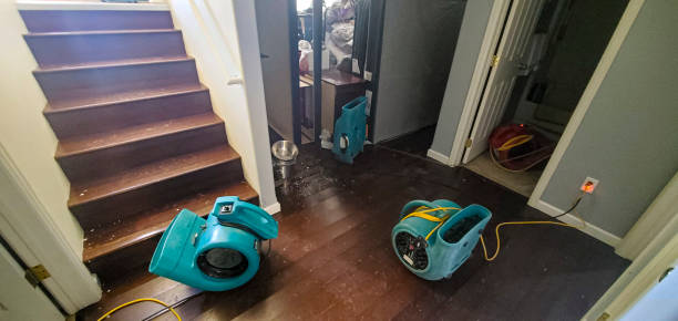 Best Sewage cleanup and water damage restoration  in Jones Valley, CA