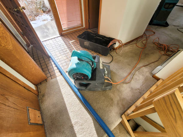 Best Local water damage restoration  in Jones Valley, CA