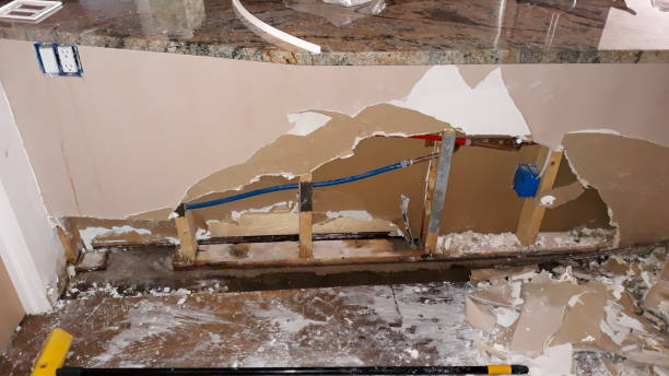 Best Water damage restoration near me  in Jones Valley, CA