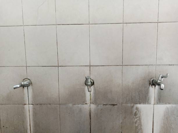 Best Basement water damage restoration  in Jones Valley, CA