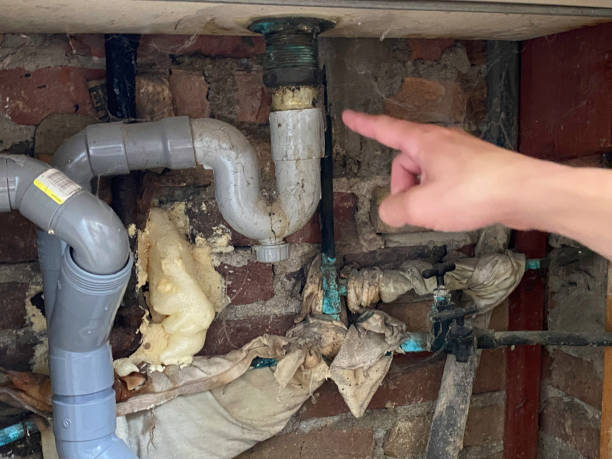 Best Water damage contractors near me  in Jones Valley, CA