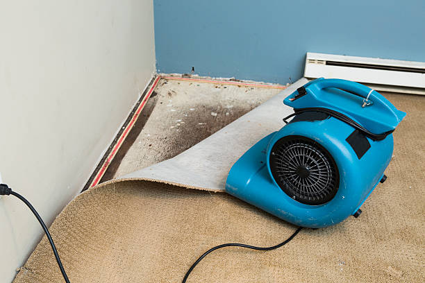 Best 24-hour water damage restoration  in Jones Valley, CA